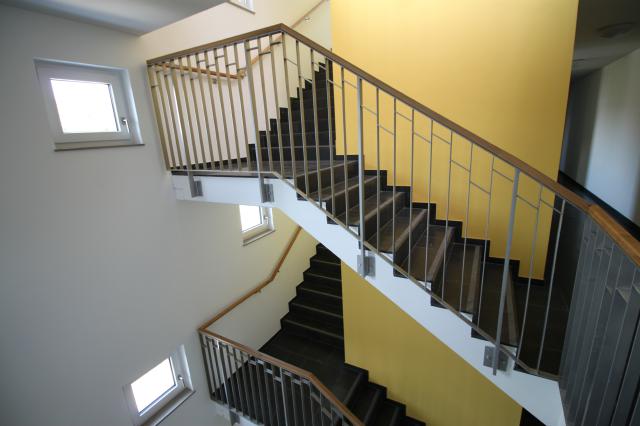 Mehrfamilienhaus, Haydnstraße, WGJ, dresden