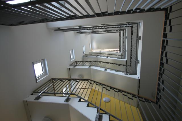 Mehrfamilienhaus, Haydnstraße, WGJ, dresden